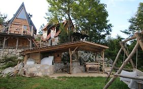 Popovi Cardaci